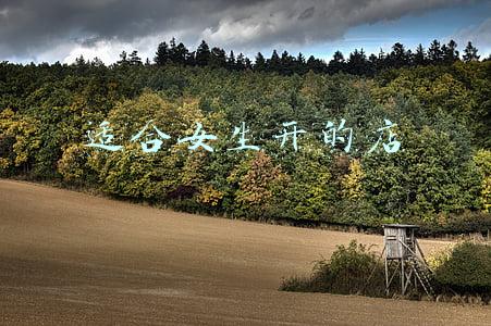 2022年适合女生开的店(2022年打算开一家无烟烧烤店以下几点务必记住)
