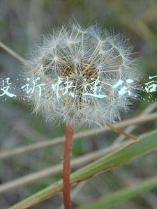 投诉快递公司到邮政总局有用吗(快递丢了怎么投诉最有效 怎么赔偿标准 快递公司不理会怎么投诉)