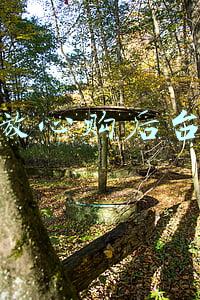 放心购后台