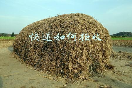 快递如何拒收