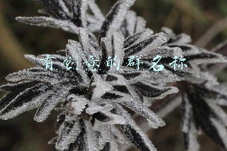 有创意的群名称