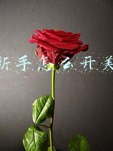 一个新手怎么开美甲店