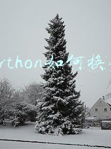 python如何换行