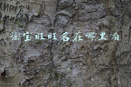 淘宝旺旺名在哪里看
