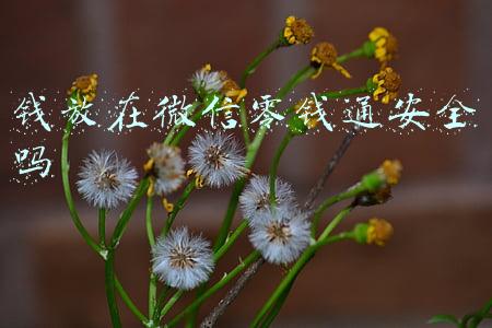 钱放在微信零钱通安全吗