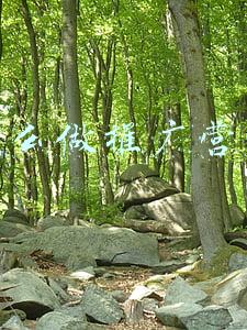 怎么做推广营销