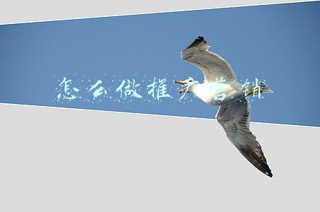 怎么做推广营销