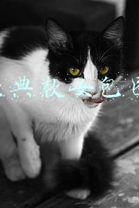 lv经典款女包图片