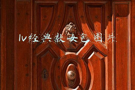 lv经典款女包图片