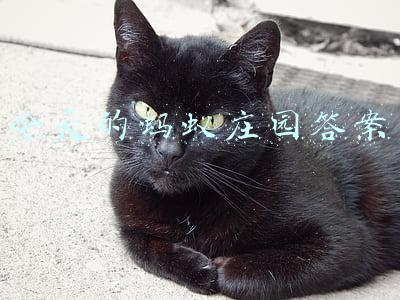 今天的蚂蚁庄园答案