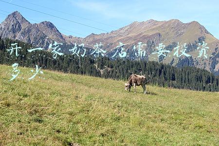 开一家奶茶店需要投资多少蜜雪冰城(最“低端”的奶茶店却最赚钱？蜜雪冰城优在何，患在哪)