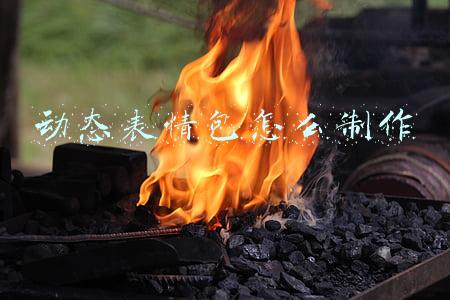 动态表情包怎么制作