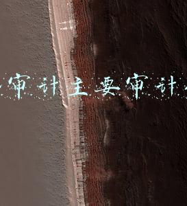 工程财务审计主要审计什么(财务审计是什么意思？)