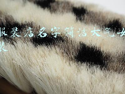 服装店名字简洁大气女装