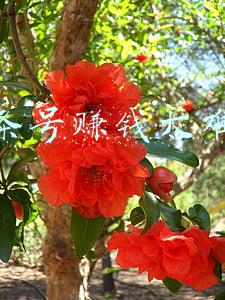 头条号赚钱太难了