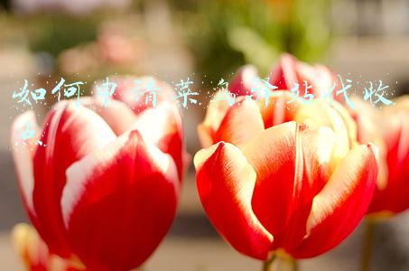 如何申请菜鸟驿站代收点