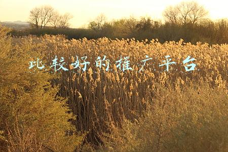 比较好的推广平台