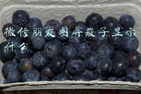 微信朋友圈屏蔽了显示什么