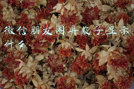 微信朋友圈屏蔽了显示什么