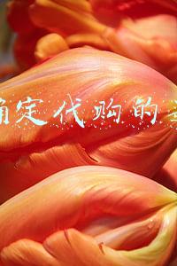 怎么确定代购的是正品