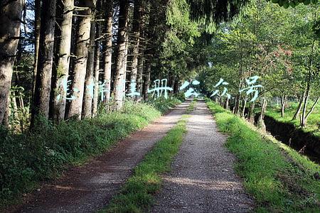 怎样注册公众号