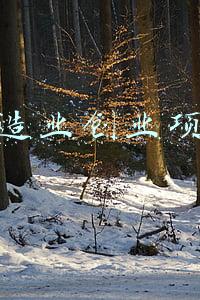 制造业创业项目