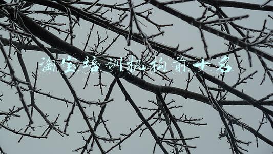 淘宝培训班靠谱吗(开网店培训班，不可信)