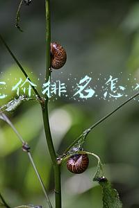 百度竞价排名怎么收费