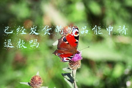 已经发货的物品能申请退款吗