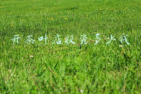 开茶叶店赚钱么，开茶叶店赚钱吗？？？成本是多少？？？