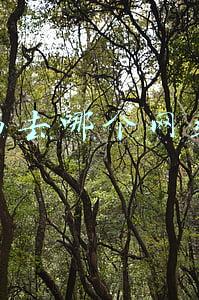 买书去哪个网站好