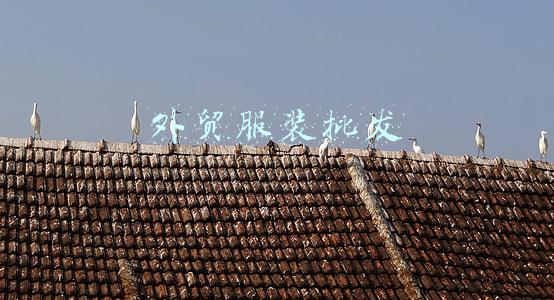 外贸服装批发