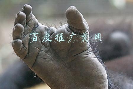 百度推广费用