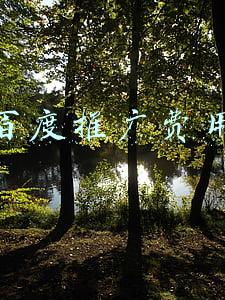 百度推广费用怎么算(百度广告预存多少起充？投放收费标准如何？)