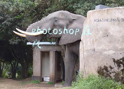 photoshop在线