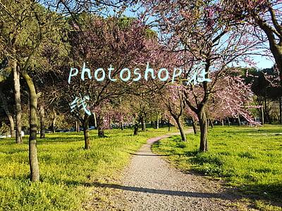 photoshop在线