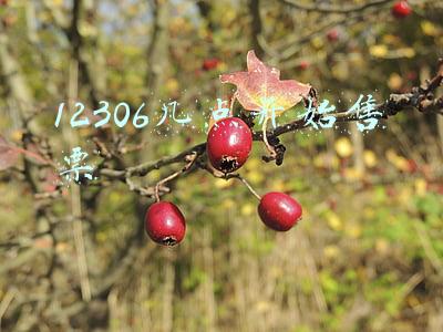 12306几点开始售票