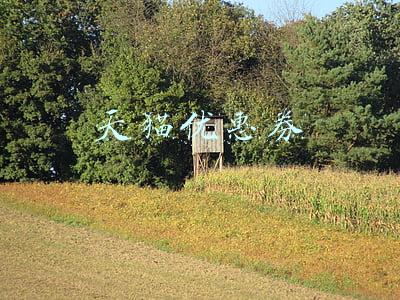 天猫优惠券商城靠谱吗(想赚九千九被骗六万六“阿里员工”推荐的抢券平台不靠谱)