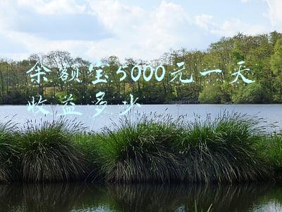 余额宝5000元一天收益多少