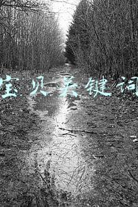 淘宝宝贝关键词排名查询工具(淘宝宝贝标题关键词怎么找)