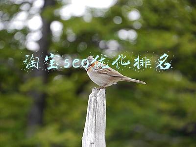 淘宝seo优化排名