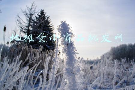 地摊货小商品批发网