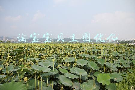 淘宝宝贝主图优化