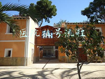 山东省立医院挂号流程(省立医院预约有感)