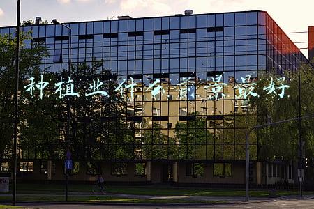 种植业什么前景最好