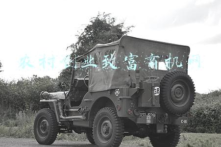 农村创业致富商机网