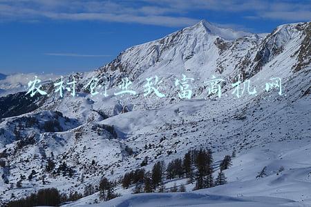 农村创业致富商机网