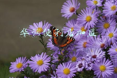 华润便利店加盟