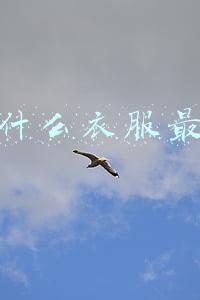 现在什么衣服最好卖