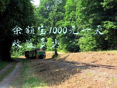 余额宝1000元一天收益多少